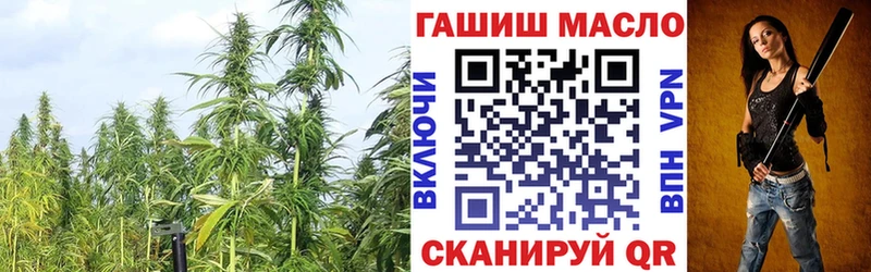 Купить закладки  Николаевск-на-Амуре  Дистиллят ТГК гашишное масло 